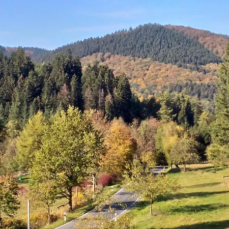 Jagdschloss Siedlinghausen 2 Apartman