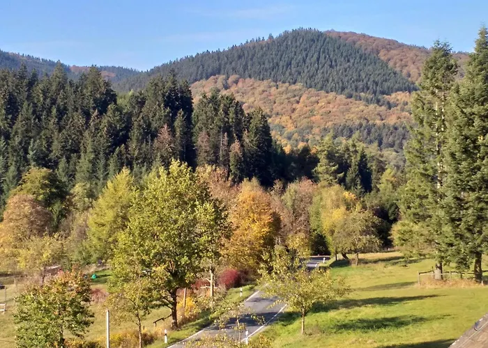 Jagdschloss Siedlinghausen 2 Daire